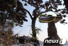부여 대조사 석조미륵보살입상, 폭설로 파손