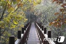 목포시, 11일 총 6.3㎞ 유달산공원 둘레길 개통