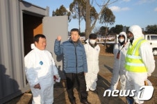 진천 구제역 살처분 돼지 8000마리 넘었다
