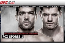 UFC 경기 일정 보니…오는 20일부터 내년 1월 19일까지
