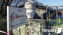충남북 4개 돼지 농장 구제역 확진…이달만 13건