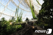 올해의 관광도시 후보지 충남 서천…국립생태원·갈대밭 등 볼거리 풍성