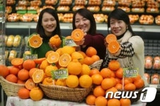 농협유통, 국산 오렌지류 소비촉진에 나서