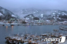 울릉도 해역, 동해안 첫 해양보호구역 지정