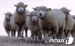 함께하자 을미년