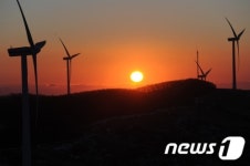 을미년의 해가 떠올랐다