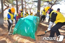 소나무 재선충 피해 더 이상은 안돼