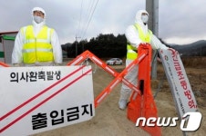충북 괴산서도 구제역 의심돼지… 전국 28곳 확산