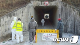 경북 구제역 비상