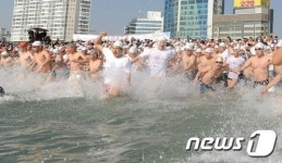 북극곰 부산에 다모였네