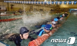 겨울방학 돌고래 수영교실