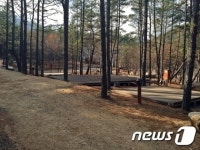 울주군, 작수천 별빛야영장 확대...전국 최대규모 추진