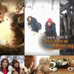 신국악 걸그룹 소리아밴드, 양 떼와 함께 대관령 겨울 여행