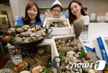 다양한 조개 한번에 즐기세요!