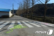 전국 최초 개구리 횡단보도…고창 용계 생태마을에 설치(종합)