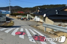 전북 고창에 무당벌레 횡단보도 등장