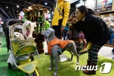 전국 최초 애견체험박물관 2016년 춘천서 개장