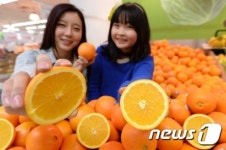 롯데마트 햇 캘리포니아산 오렌지 900원에 판매