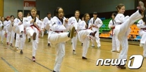 [단신] 배재대 외국인 유학생들 태권도 체험