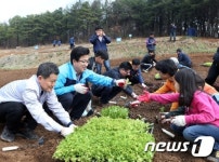 도심인근 텃밭농장 인기…대전유성구 올해 1만 5425㎡규모 분양
