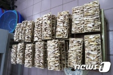 강원우정청 강원 양양군의 특산품을 소개합니다
