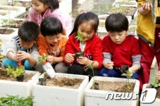 강원 누리예산 불투명에 유치원行…어린이집 울상