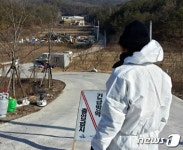 충주 주덕 돼지농장 구제역 확진… 충북 32번째