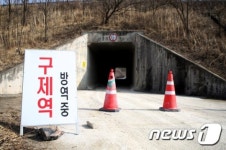 경북도, 연휴 마지막 날까지 구제역 차단 총력