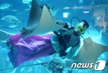 곱디 고운 아쿠아리스트의 자태