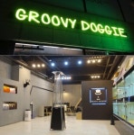 부천 강아지분양 화제의 주인공 ‘그루비도기’