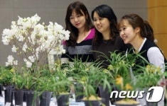 한국춘란전시회에 봄 향기 가득