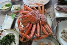 조용한 어촌마을에서 만나는 동해의 일출 ‘푸른솔펜션’