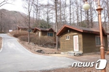 바다와 억새벌판· 대나무숲 국립 오서산 자연휴양림 각광