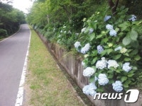 강진군, 소공원·도시 숲 체계적 통합관리