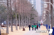 도심속 작은 숲길