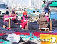 봄 기운 가득한 항구