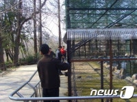 전주동물원, 새봄  손님맞이 꽃단장 준비 한창