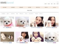 ‘비숑프리제’ 킴스켄넬에서 확실하게 분양받으세요