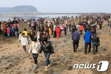 보령 무창포, 신비의 바닷길과 쭈꾸미로 유혹