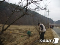 청양군, 옛 지명 살린 ‘감나무골 조성’ 등 새 지역특화작목 육성