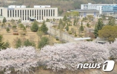 조폐공사 화폐박물관 벚꽃길 벼룩시장 접수하세요
