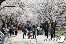 충주시, 수안보온천제 등 봄 축제 개최 준비 한창