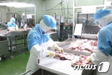 [르포]질 낮은 고기사용 NO!…햄가공공장 직접 가보니
