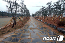 동해시, 1억원 들여 ‘힐링 길’ 시설물 정비