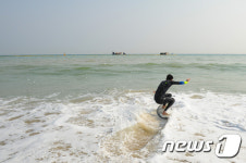 해운대서 서핑해요