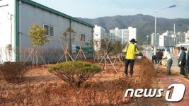 해남군, 모퉁이 숲 조성 완료…군민 작은 쉼터 제공