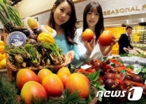 햇 농산물 맛보세요!