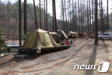 산림청 청옥산자연휴양림은 7성급 캠핑장… 적극 추천