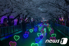 진해 군항제의 밤