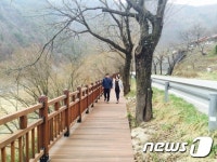 봄빛 물든 단양 선암골 생태유람길에서 힐링하세요